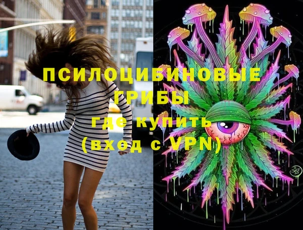 индика Алексин