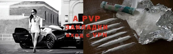 индика Алексин