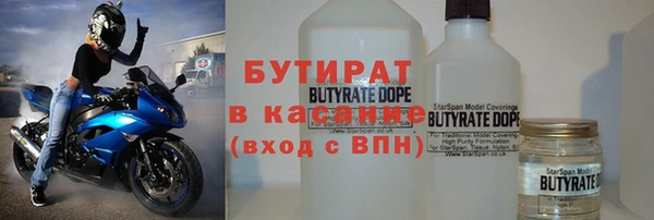 индика Алексин