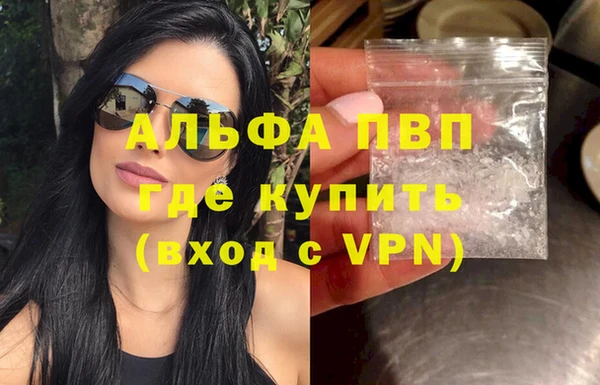 индика Алексин