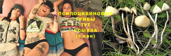 индика Алексин