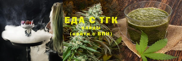 индика Алексин