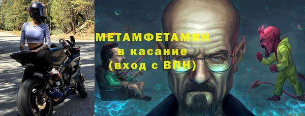 индика Алексин