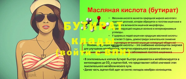 индика Алексин