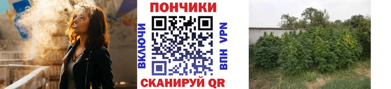 Каннабис ГИДРОПОН  где найти наркотики  Губкин 